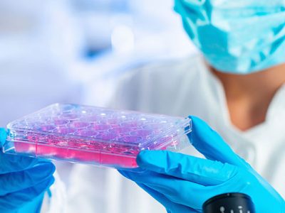 Salmon DNA Application